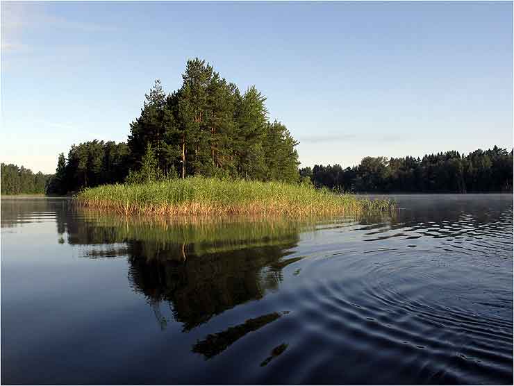 Фото Андрея Рожкова СПб